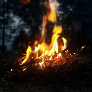 Lees meer over het artikel Medestanders of tegenstanders?